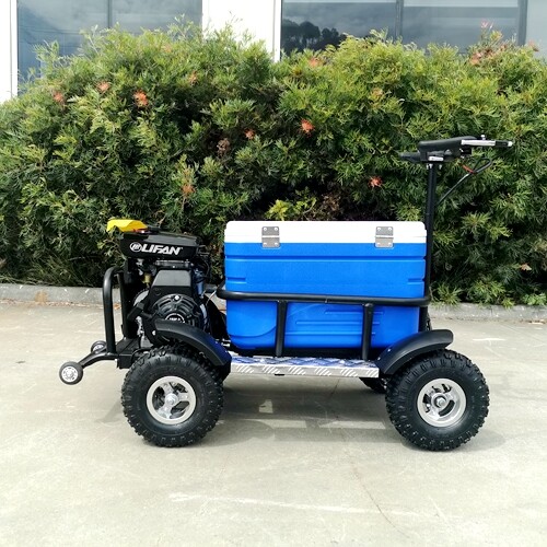 80cc Motorised Esky Cooler Scooter 4 Wheel Motorbike Atv Quad Icebox Esky Lifan - Picture 3 of 10