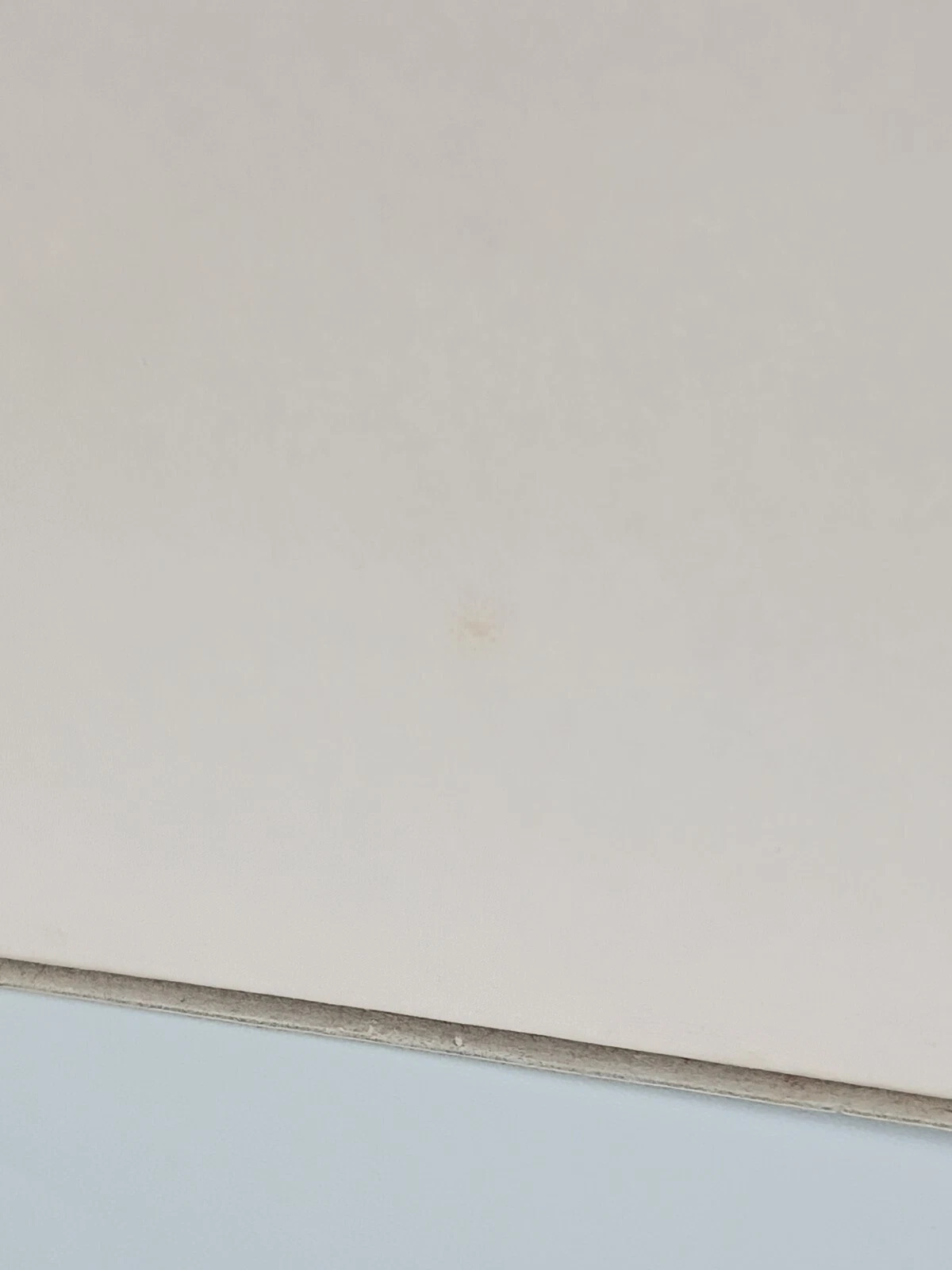 Picture 22 of 22