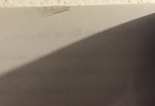 A Court of Mist and Fury, Sarah J. Maas pb 1st UK 2016 - Bild 8 von 9