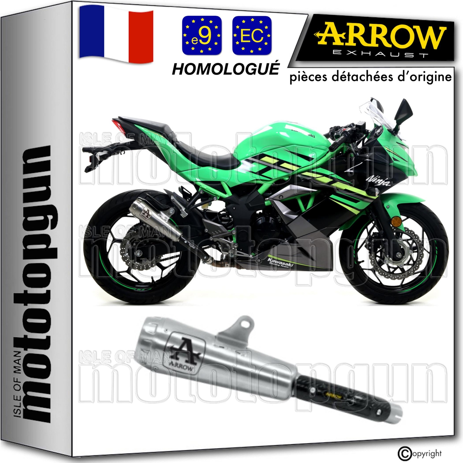 Echappement Arrow Pro-Race Nichrom pour Kawasaki Ninja 125 2019