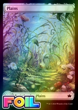 x1 Plains BLB Bloomburrow MTG 263 FOIL FULL ART BASIC LAND M/NM 1x