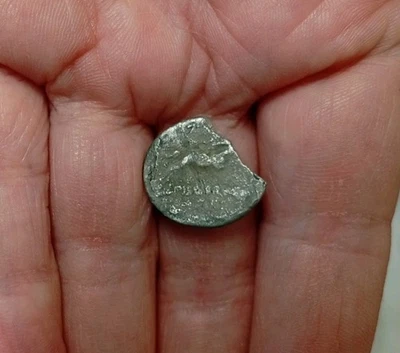 Denier Calpurnia 90 Av JC L. PISO FRVGI - Photo 1/2