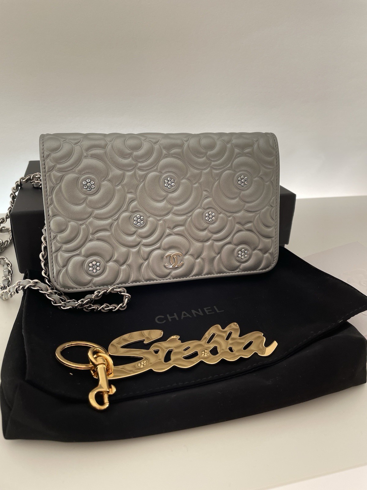 Chanel Silver Embellished Wallet On Chain Limited Edition