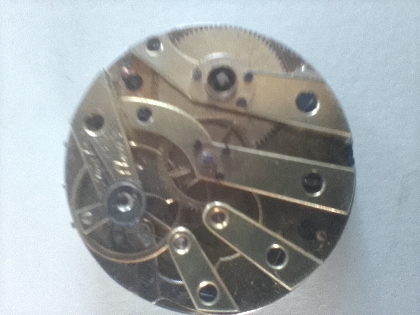 Picture 6 of 8