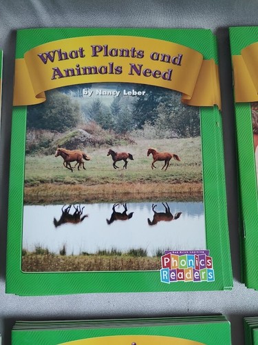 Set of (12) - Red Brick Learning Phonics Readers - Set C - Educational Booklets - Picture 5 of 13