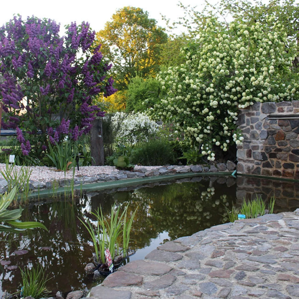 Teich- und Beckenbeschichtung Komplettset | Glasgelege mit Epoxidharz-Decklack - Bild 3 von 4