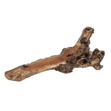 Dekoobjekt, Schale aus Wurzelholz L. 41cm naturbraun Formano