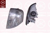 Neue Indikatorlampe - Links - Passt FüR Mercedes-Benz C-Klasse (W202) 1993-2001