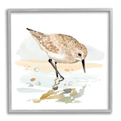 Grazing Sandpiper Shoreline Framed Giclee Art by Victoria Barnes