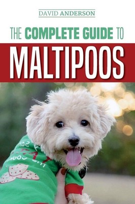 The Complete Guide to Maltipoos: Everything you need to know before getting you,
