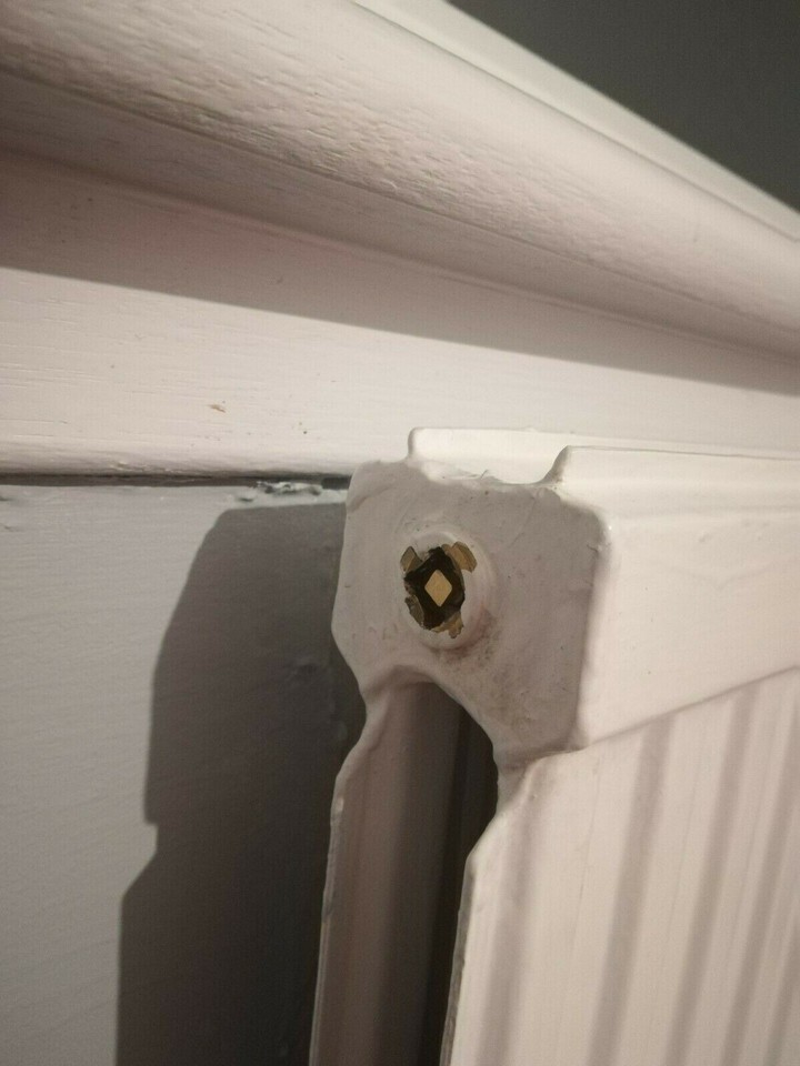 RADIATOR BLEED AIR VENT VALVES SCREWS - ALL TYPES STEEL PANEL / CAST ...