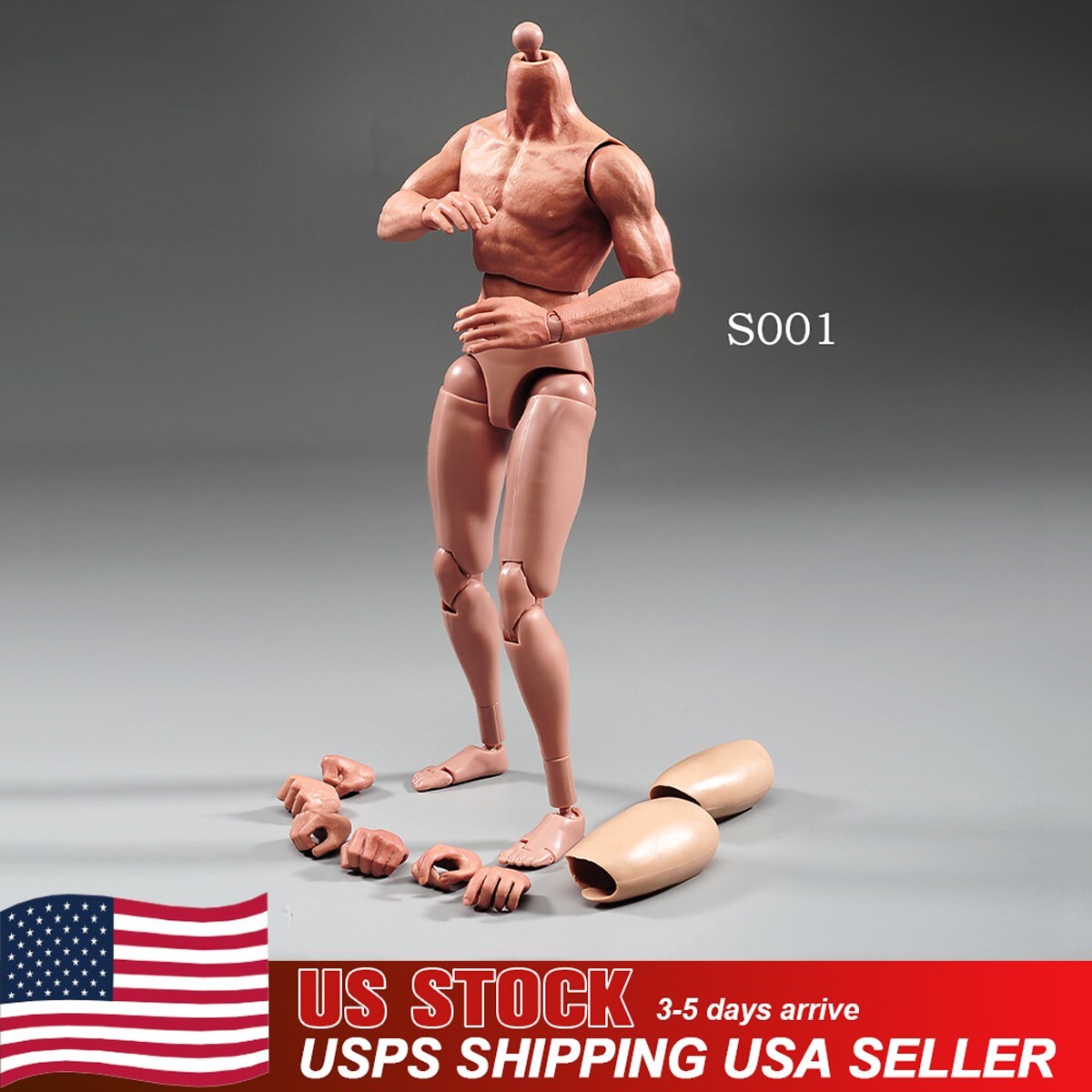 ZC Toys 1/6 Muscular Male Action Figure PVC Body Fit 12in Hot Toys