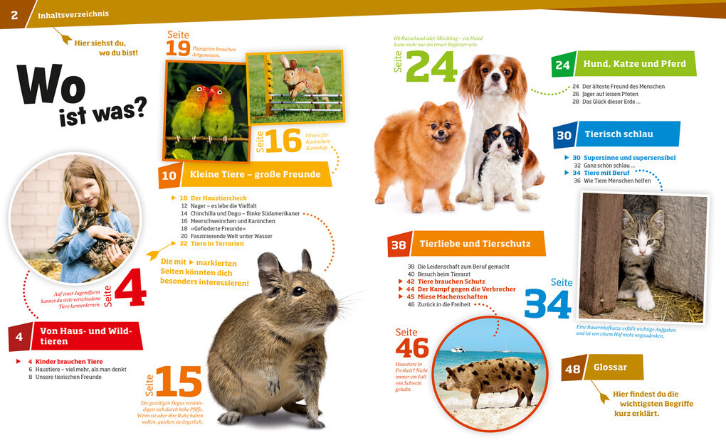 Thumbnail - Was Ist Was Band 72 Haustiere. Unsere Liebsten Freunde | Annette