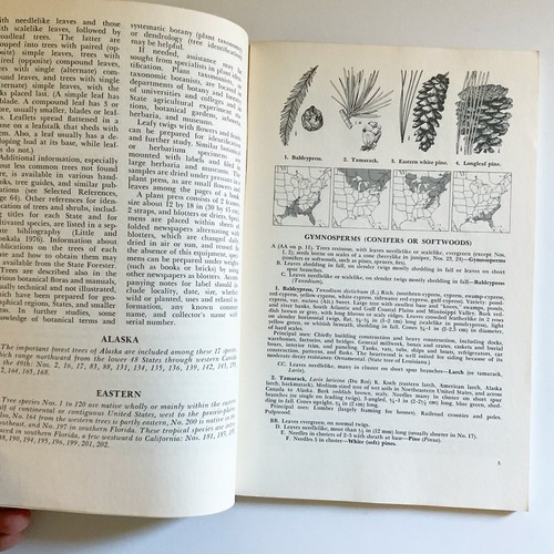 Important Forest Trees of the US Agriculture Handbook No 519 June 1978 - Picture 6 of 19