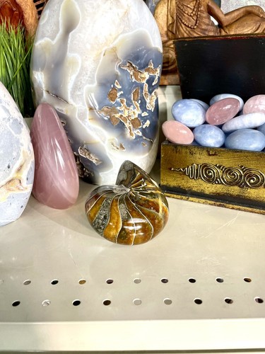 Nautilus Fossil Conch Specimen Crystal Opalized Yoga Meditation Reiki 5” ZENDA - Picture 9 of 9