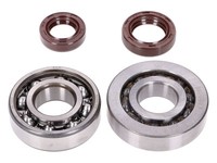 Kurbelwellenlager Satz Naraku Skf, FKM Premium C3, C4 MetallkäFig FüR Peugeot St
