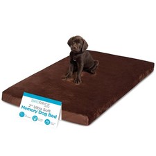 BIRDROCK HOME 2" Memory Foam Dog Beds  Ultra Soft Plush Pet Bed  Removable ...