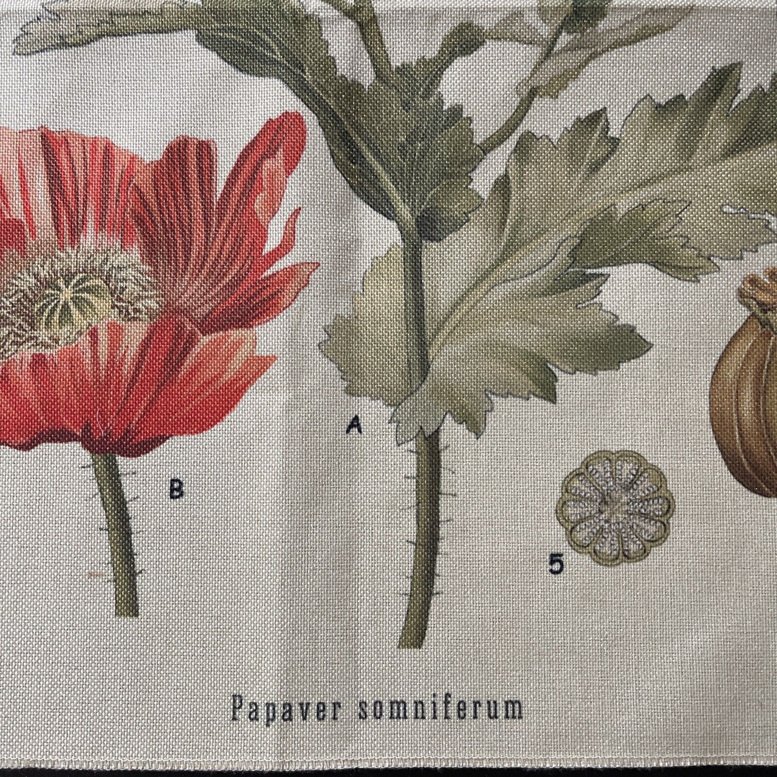 Picture 10 of 20