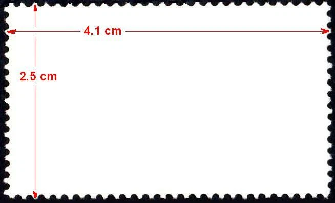 2422 MÉXICO 2005 CONSERVACIÓN, REPTILES, SERPIENTES, CAIMÁN, TORTUGA, (6.50P), MNH Foto 2 de 2