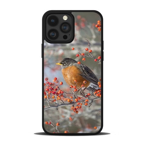 nature american robin bird Phone Case For Apple iPhone Samsung Galaxy S24 - 第 11/25 張圖片