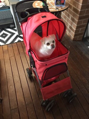 dog pram gumtree