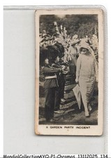 AYQP1-0068-CHROMOS - Garden Party Incident - The Royal Familly At Home And Abr