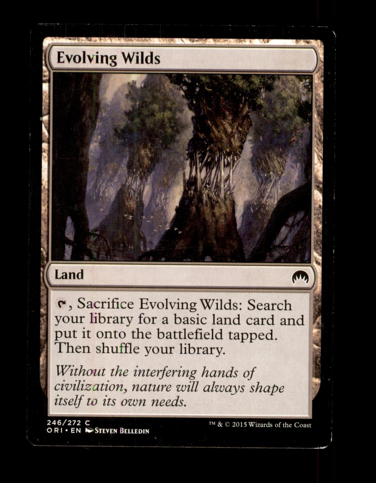 Magic Origins #246 Evolving Wilds