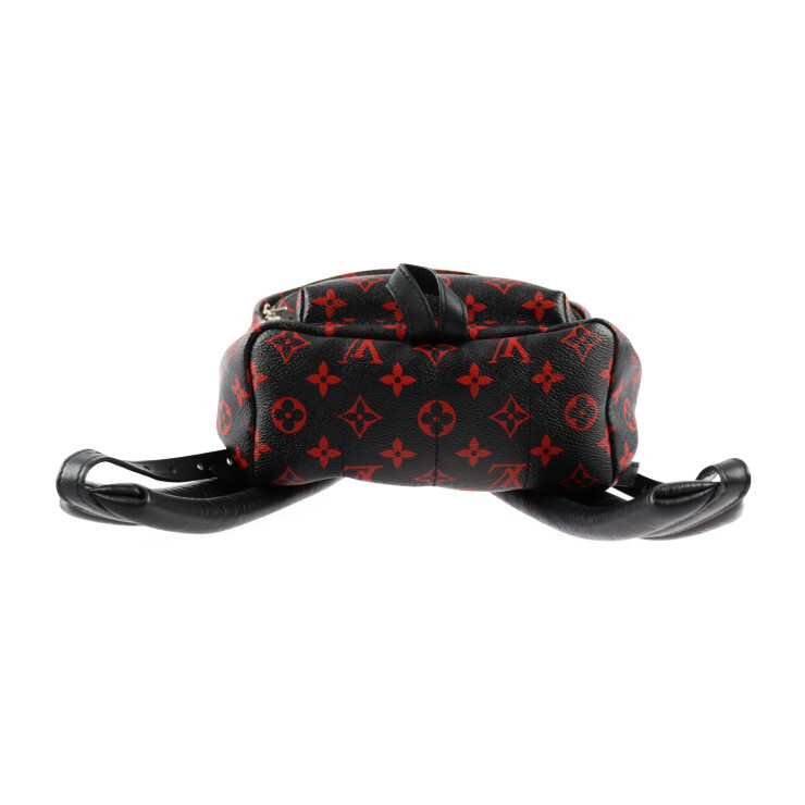LOUIS VUITTON Backpack Â· Daypack M41458 palm springs pm  display picture 1