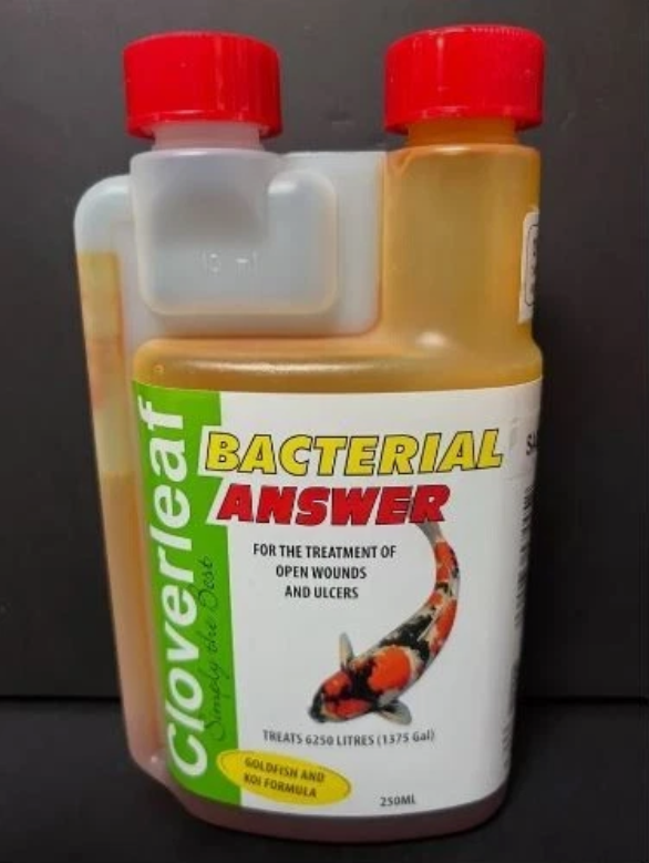 CLOVERLEAF BACTERIAL ANSWER POND TREATMENT 250ML KOI WOUNDS ULCER INFECTIONS #L