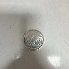 1 oz Silver .999 Fine Buffalo Round