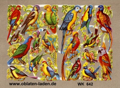 sehr  schöner  Bogen  WK 642 - Vögel & Papageien 