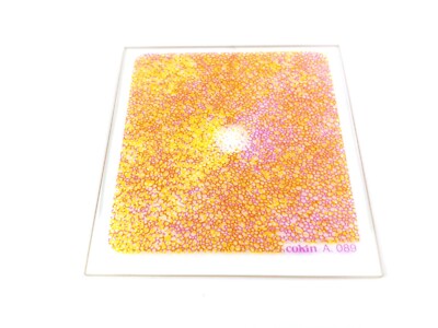 COKIN A 089 Warm Colour Diffusor Filter mit Gehäuse - Cokin A (S) 67x67mm