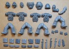 Space Marines - Tactical Squad 2004 - Legs Torso Heads Ammo (a) Bits Bitz 40K