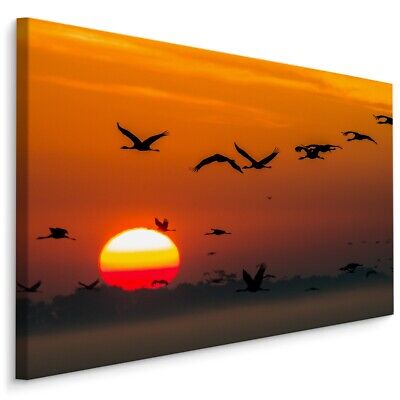 Leinwand Bild Canvas Wandbild Kunstdruck Xxl Natur Fliegende Kraniche 1030 Ebay