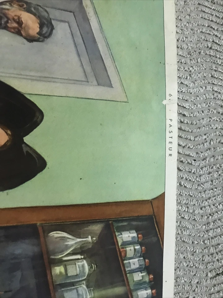 Carte scolaire Pédagogique Rossignol 76x56 Cm Histoire  Pasteur - Photo 4/4