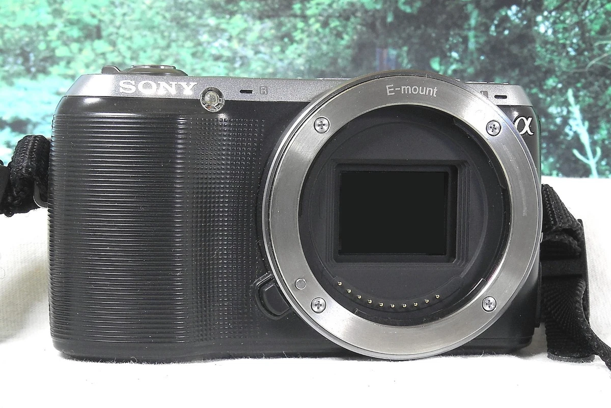Sony Nex-C3 Digital Cameras for Sale - Shop New & Used Digital