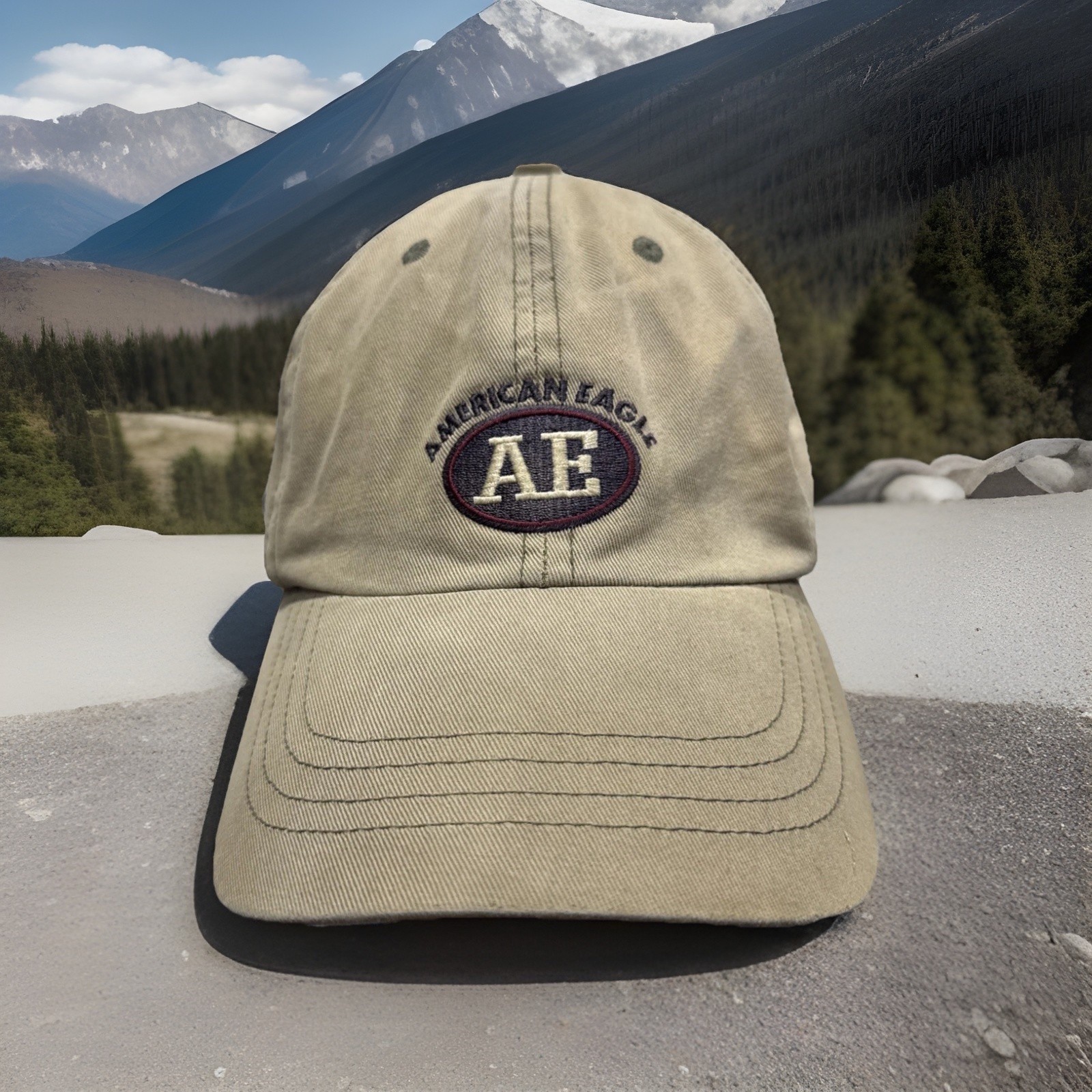 American Eagle AE Leather Strapback Baseball Cap - image 1