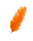 Bild 14 von 25
