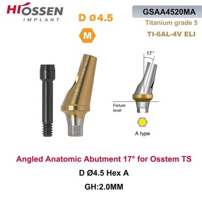 Dental Mini 17° Angular Anatomic Abutment Internal Hex system Oss TS/ Hiossen ET
