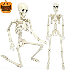 3FT Skeleton, 36" Full Body Skeleton with Movable Posable Joints, Realistic Plas