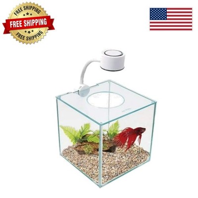 Stylish CUBUS Glass Betta Kit: 4-Piece Setup with Energy Efficient Lighting