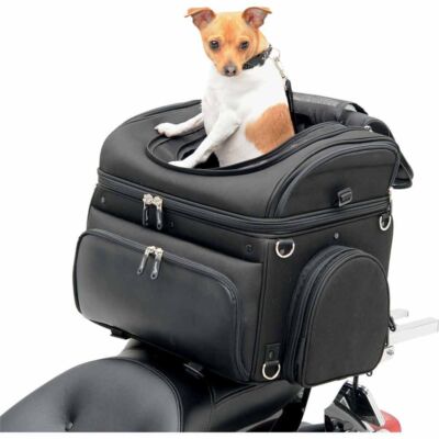 Transport pour Petits Animaux, Coffre Moto Petits Chiens et Chats
