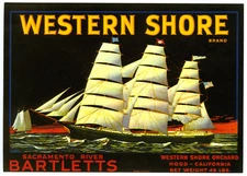 WESTERN SHORE~OLD SAILING SHIP~HISTORICAL FRUIT CRATE LABEL ART~NEW '83 POSTCARD