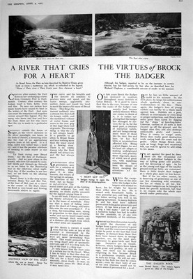 Alter 1925 Dachs Adler Felsen breiter Stein Benjy Tor Frau Fenster Fell 20.