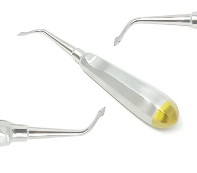 Bernard Dental Tooth Surgery Right Spade Concave Root Tip Elevator  Gold Economy