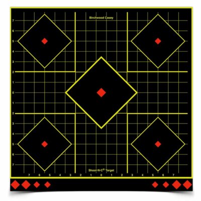 SHOOT N C  SIGHT-IN TARGETS W/ 1 INCH GRID, choice of size