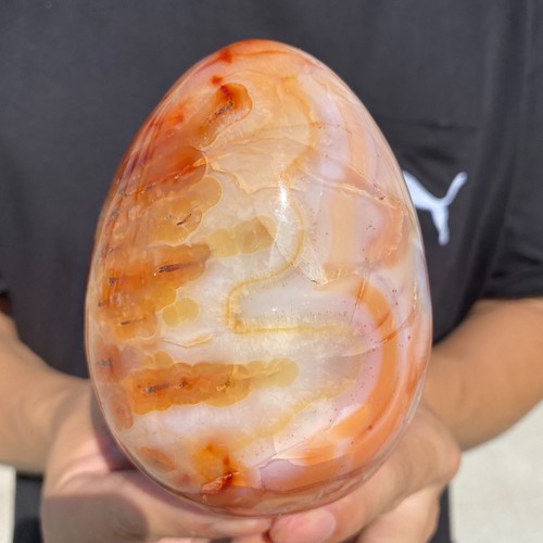 975g Raro Uovo di Agata Naturale Cristalli di Quarzo Esemplare Minerale Guarigione - Foto 13 di 13