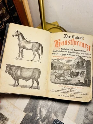 Illustrierter Haustierarzt 1869 Veterinär Landwirtschaft Tiere Buch Antik Grafik - Bild 1 von 4