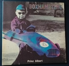Boxhamsters - Prinz Albert