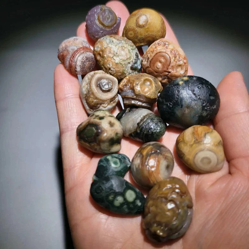 天然石 水石 　水溜め　大きい 天然石 水石 水溜め大きい